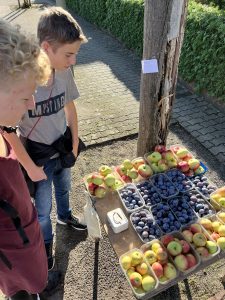 Gemüse und Früchte, Straßenverkauf